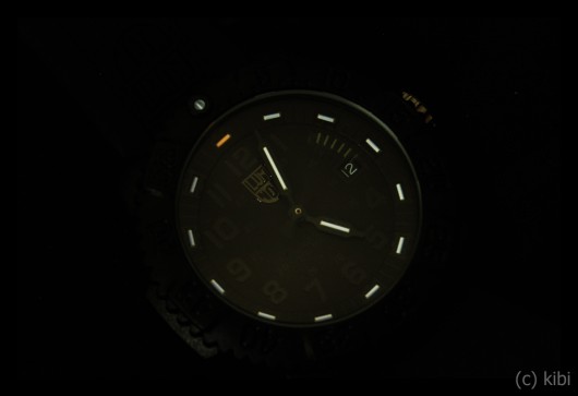 Luminox Evo Navy Seal Blackout 3051BO