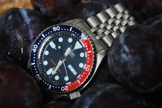 SKX009 na švestkách