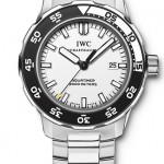 Reference IW356805 from IWC